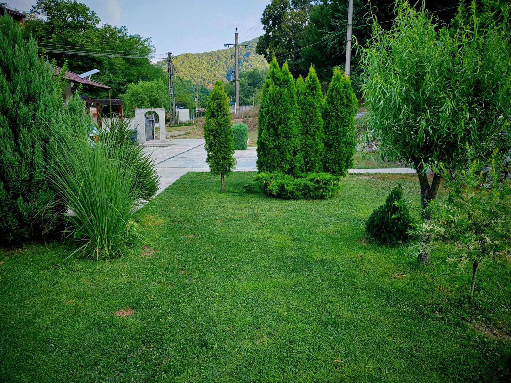 Taverna Gradetului Schitu Topolnitei Kültér fotó
